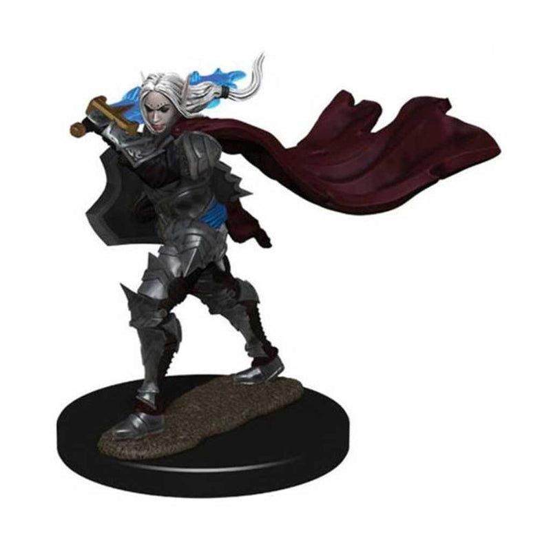 Elf Champion (Female) Pathfinder Battles Premium Painted Figure - Bea DnD Games