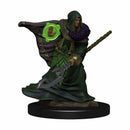 Elf Druid (Male) D&D Premium Painted Figures - Bea DnD Games