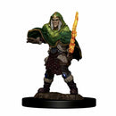 Elf Fighter Male D&D Premium Painted Figures - Bea DnD Games