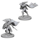 Elf Paladin (Female) Deepcuts Unpainted Miniatures - Bea DnD Games
