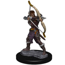 Elf Ranger (Female ) D&D Premium Painted Figure - Bea DnD Games