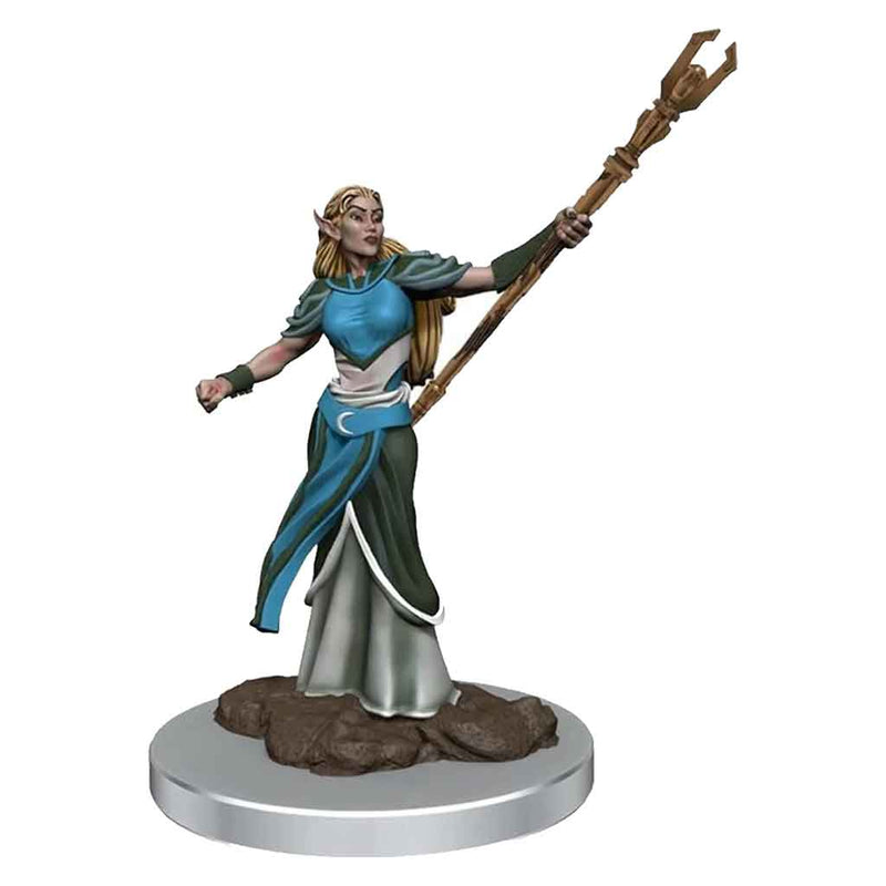 Elf Sorcerer (Female) D&D Premium Painted Figures - Bea DnD Games