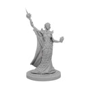 Erelal Freth - Waterdeep Dungeon of the Mad Mage - D&D Collectors Series Unpainted Miniatures - Bea DnD Games