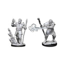Firbolg Druid Nolzurs Marvelous Unpainted Miniatures - Bea DnD Games
