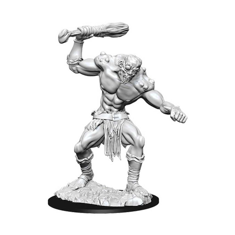 Fomorian Nolzur's Marvelous Unpainted Miniatures - Bea DnD Games