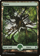 Forest (273) (Full Art) [Battle for Zendikar] - Bea DnD Games