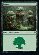 Forest (274) [Dominaria United] - Bea DnD Games
