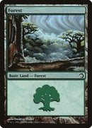 Forest (41) [Premium Deck Series: Slivers] - Bea DnD Games
