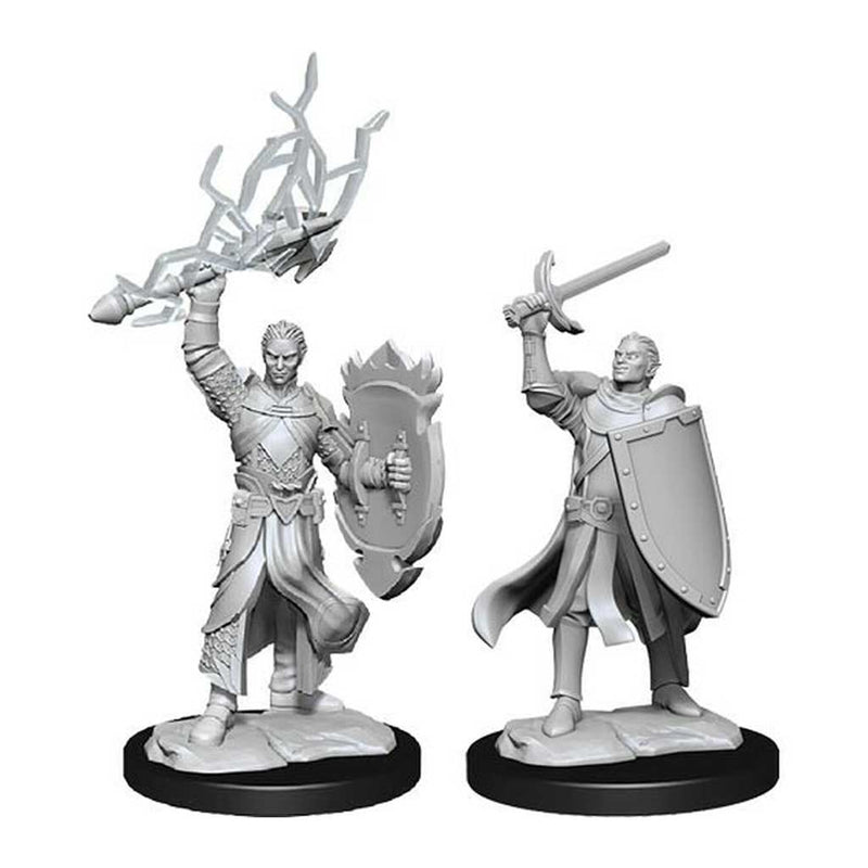Half-Elf Paladin Nolzur's Marvelous Unpainted Miniatures - Bea DnD Games