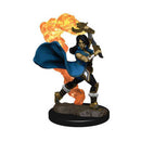 Human Cleric (Female) Pathfinder Battles Premium Painted Figure - Bea DnD Games
