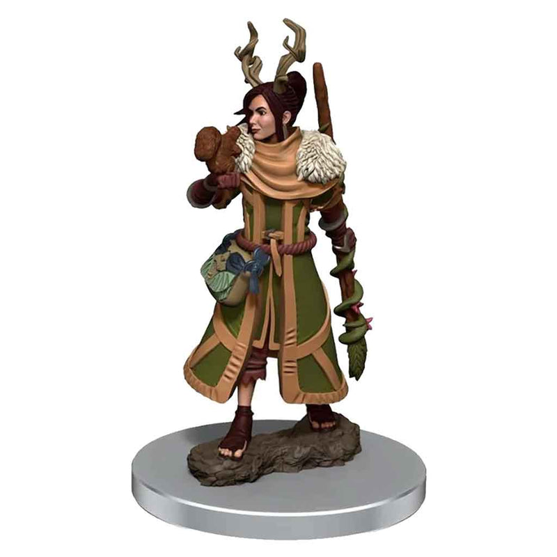 Human Druid (Female) D&D Premium Painted Figures - Bea DnD Games