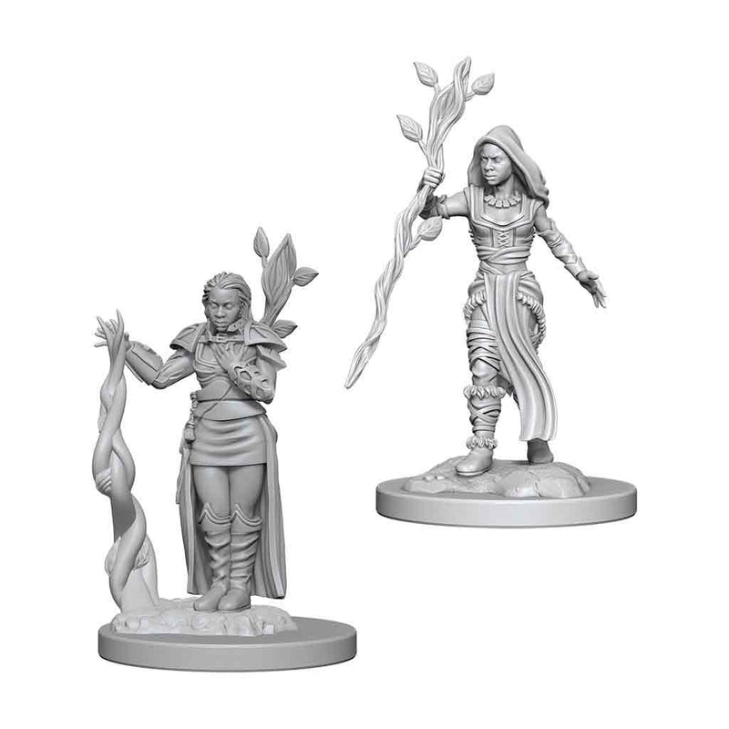 Human Druid (Female) Nolzurs Marvelous Unpainted Miniatures - Bea DnD Games