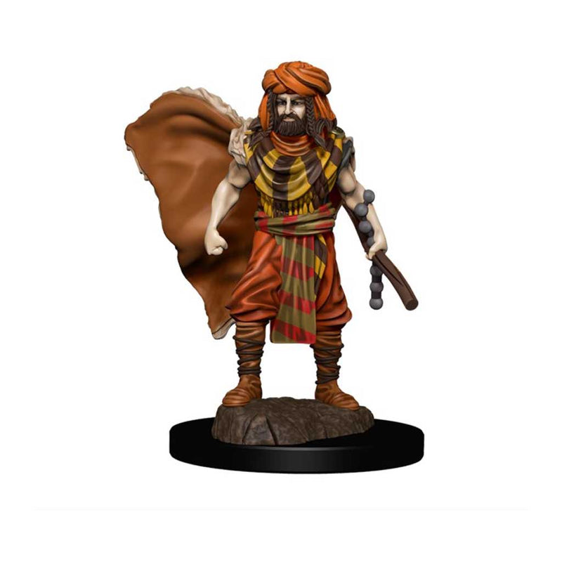 Human Druid (Male) D&D Premium Painted Figures - Bea DnD Games
