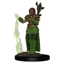 Human Female Druid D&D Premium Painted Figures - Bea DnD Games
