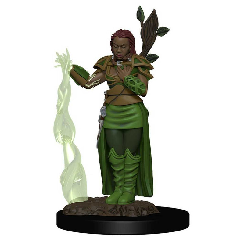 Human Female Druid D&D Premium Painted Figures - Bea DnD Games