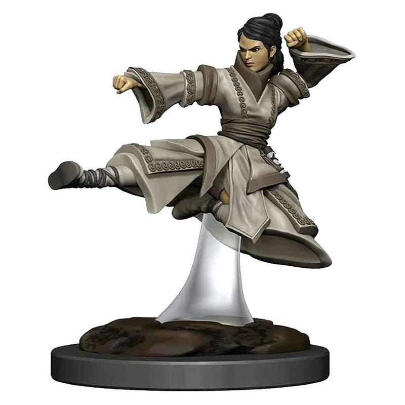 Human Monk (Female) D&D Premium Painted Figures - Bea DnD Games