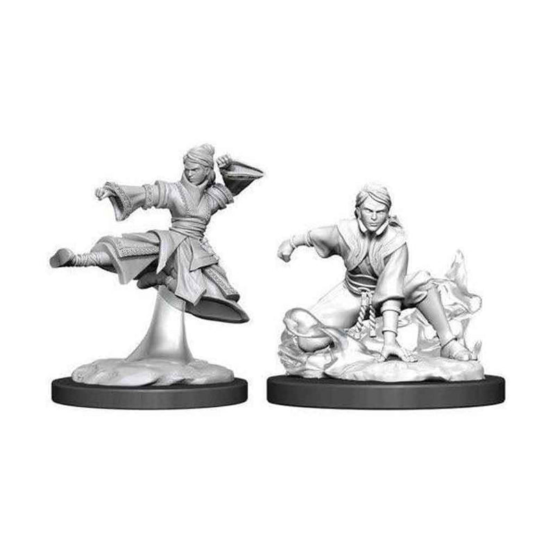 Human Monk (Female) Nolzurs Marvelous Unpainted Miniatures - Bea DnD Games