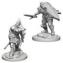 Human Paladin (Male) Nolzur's Marvelous Unpainted Miniatures - Bea DnD Games