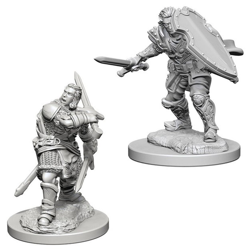 Human Paladin (Male) Nolzur's Marvelous Unpainted Miniatures - Bea DnD Games