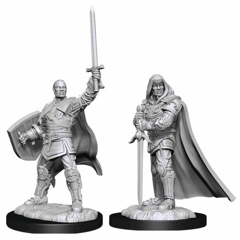 Human Paladin Male Nolzur's Marvelous Unpainted Miniatures - Bea DnD Games