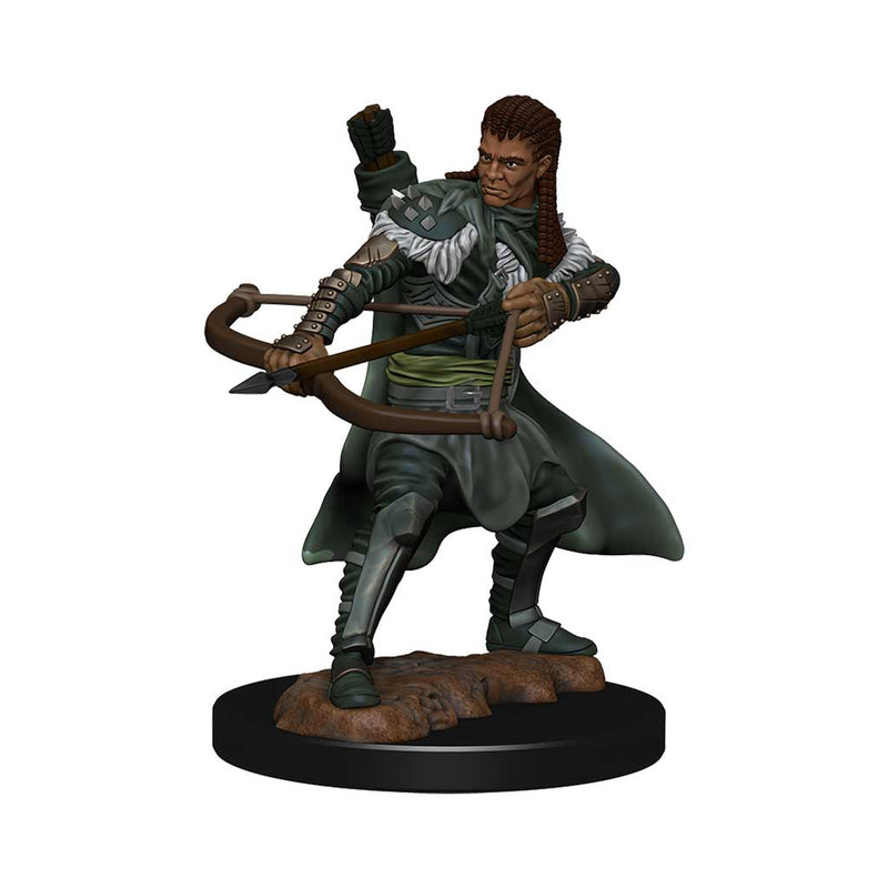 Human Ranger (Male) D&D Premium Painted Figures - Bea DnD Games