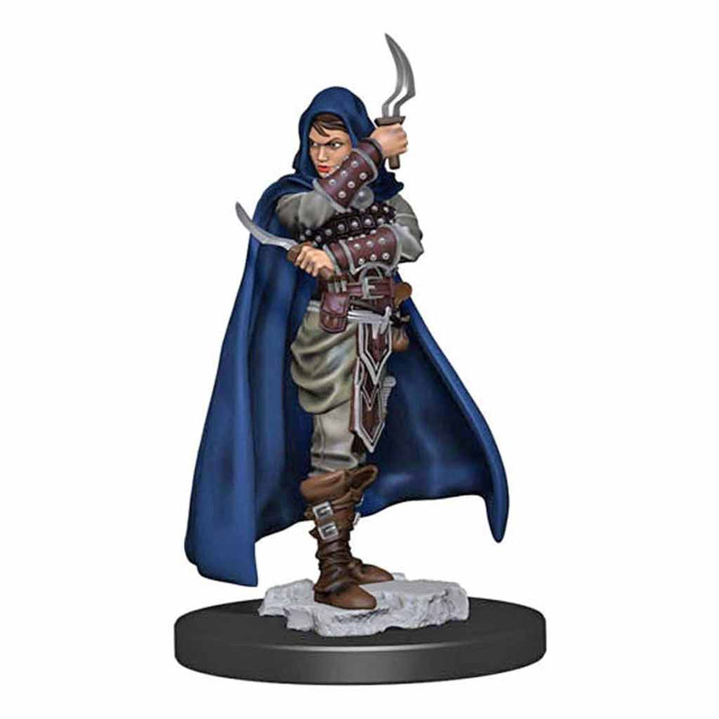Human Rogue (Female) Pathfinder Battles Premium Painted Figure - Bea DnD Games