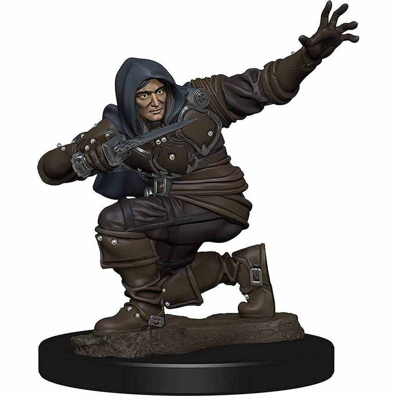 Human Rogue (Male) Pathfinder Battles Premium Painted Figure - Bea DnD Games