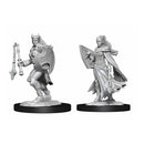 Kalashtar Cleric Nolzur's Marvelous Unpainted Miniatures - Bea DnD Games