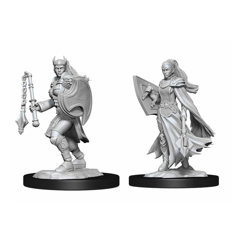 Kalashtar Cleric Nolzur's Marvelous Unpainted Miniatures - Bea DnD Games