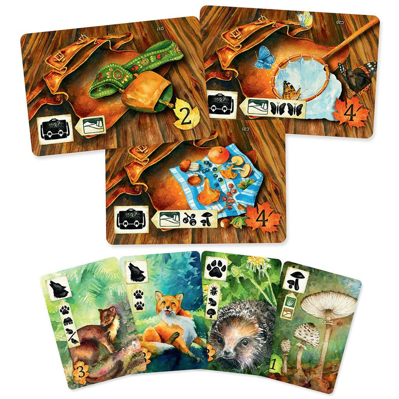 Meadow - Bea DnD Games