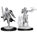 Multiclass Warlock + Sorcerer (Female) Nolzur's Marvelous Unpainted Miniatures - Bea DnD Games