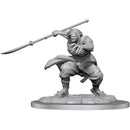 Oni Nolzur's Marvelous Unpainted Miniatures - Bea DnD Games