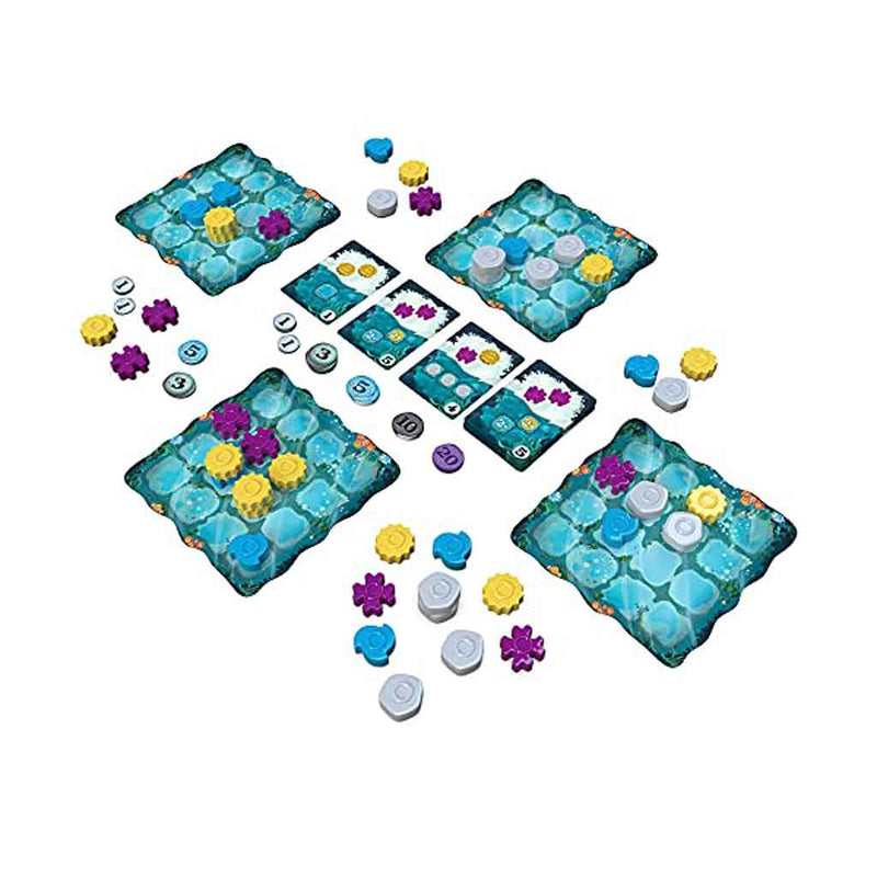 Reef - Bea DnD Games