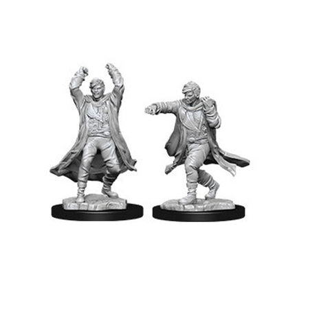 Revenant Nolzur's Marvelous Unpainted Miniatures - Bea DnD Games