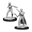 Shifter Rogue Nolzurs Marvelous Unpainted Miniatures - Bea DnD Games