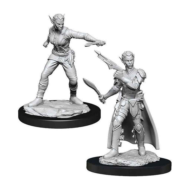 Shifter Rogue Nolzurs Marvelous Unpainted Miniatures - Bea DnD Games