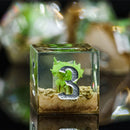 Terrarium of Dragons Handcrafted Sharp Edge Dice Set & Dice Case - Bea DnD Games