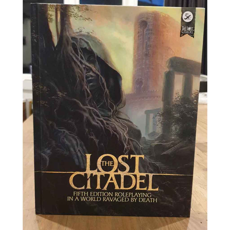 The Lost Citadel - 5th Edition Roleplaying in a world ravaged by death... - Bea DnD Games