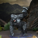 Wild Shape & Polymorph Set 2 D&D Icons of the Realms Miniatures Premium Set - Bea DnD Games