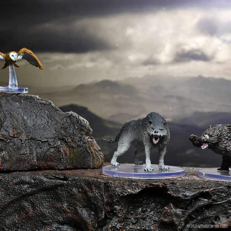 Wild Shape & Polymorph Set 2 D&D Icons of the Realms Miniatures Premium Set - Bea DnD Games