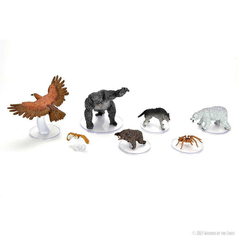 Wild Shape & Polymorph Set 2 D&D Icons of the Realms Miniatures Premium Set - Bea DnD Games